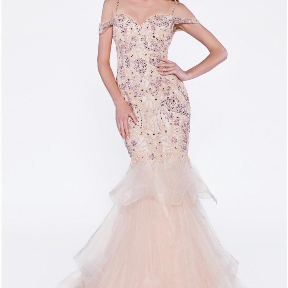 Stunning Cinderella Divine Formal Gown